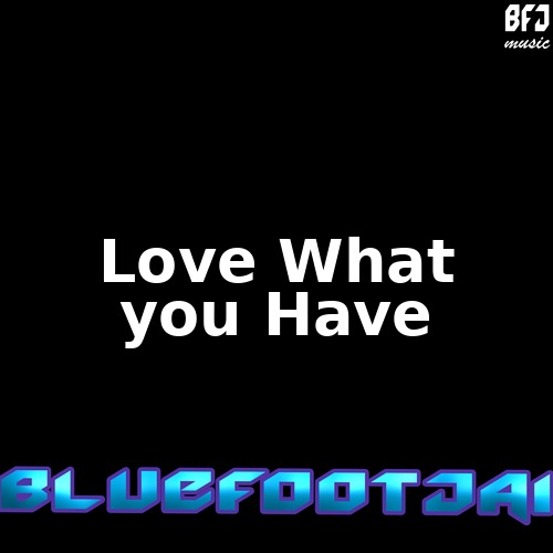 Love What You Have cover art