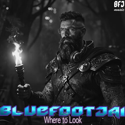 Where to Look cover art